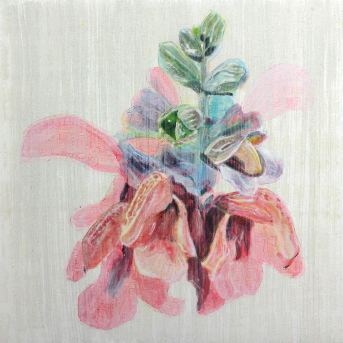Wayne Vivier - Local image 160